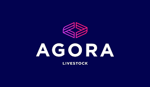 Purebred Merino Wether Lambs, Vendor Bred & LPA, DONGARA WA - Agora Livestock listing 4Z6IV4